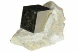 Natural Pyrite Cube In Rock From Spain #82105-1